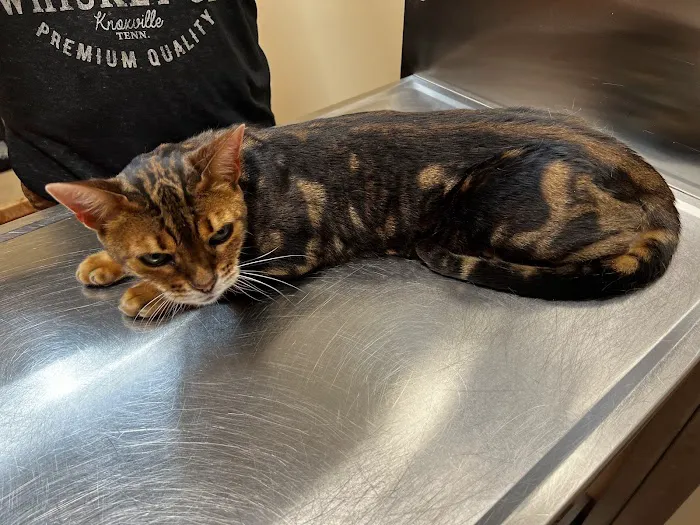 Springbrook Animal Care Center 3