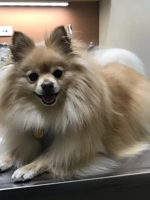 Springbrook Animal Care Center 2