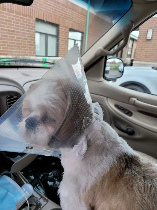 Springbrook Animal Care Center 9