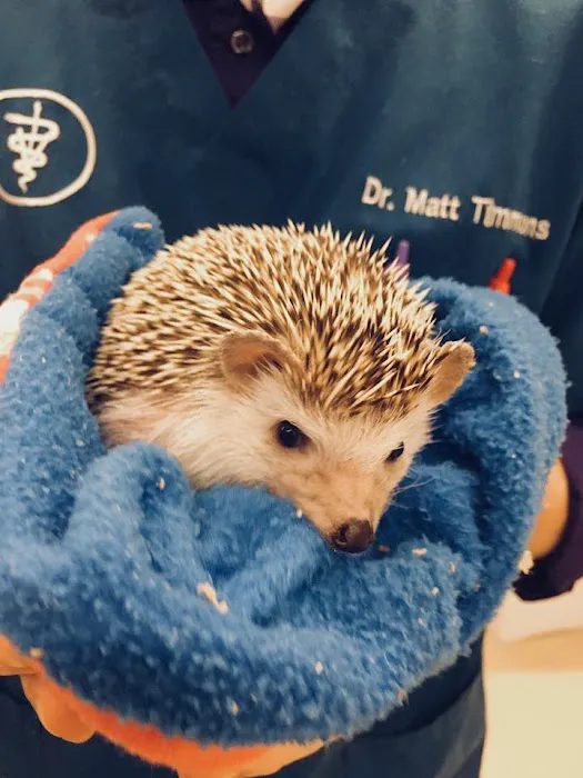 Springbrook Animal Care Center 8