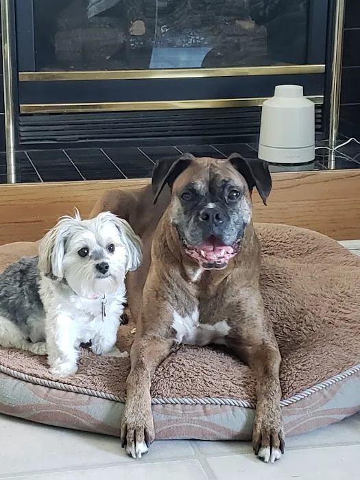 Springbrook Animal Care Center 10