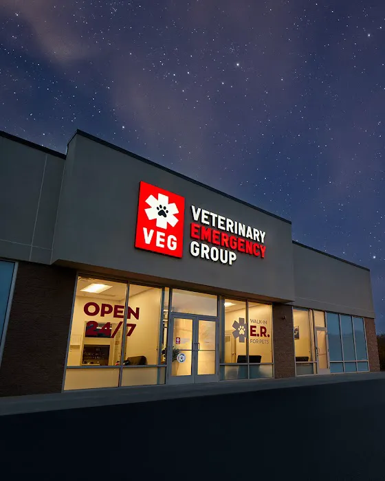 Veterinary Emergency Group 6