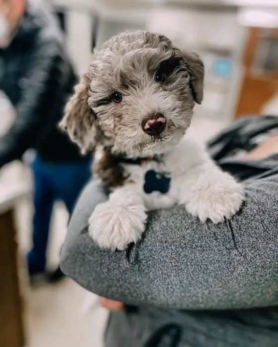 Wheatland Animal Hospital 6