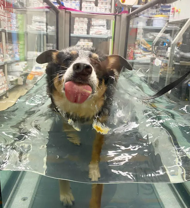 Wheatland Animal Hospital: Pet Rehabilitation 12