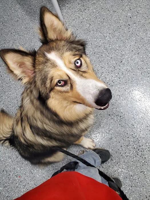 Brookville Animal Hospital 3