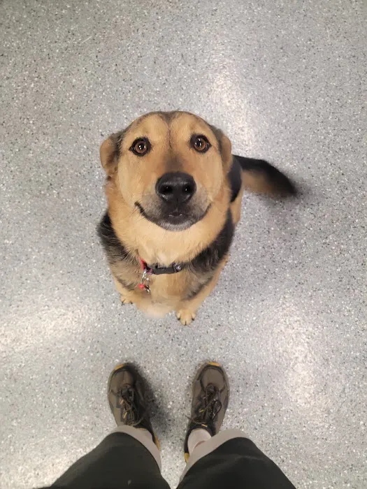 Brookville Animal Hospital 7