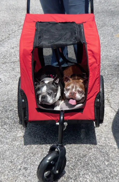 Banfield Pet Hospital 12