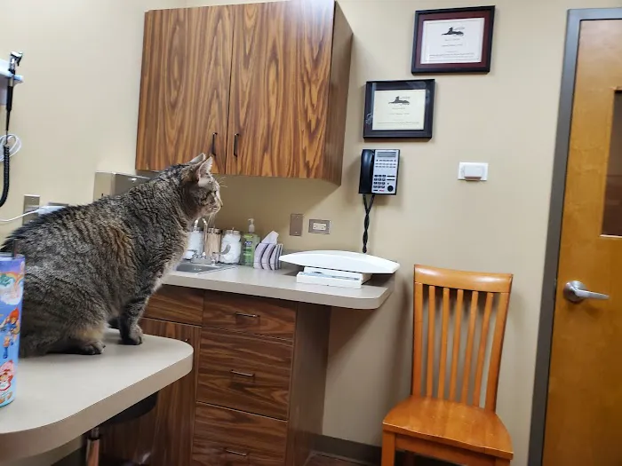 Indian Prairie Animal Hospital 1