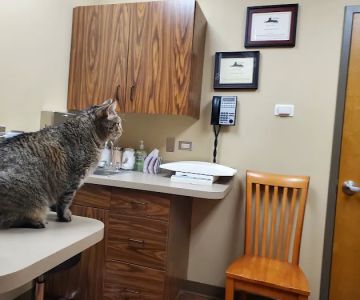 Indian Prairie Animal Hospital