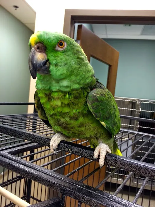 Indian Prairie Animal Hospital 8