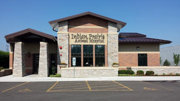 Indian Prairie Animal Hospital 2