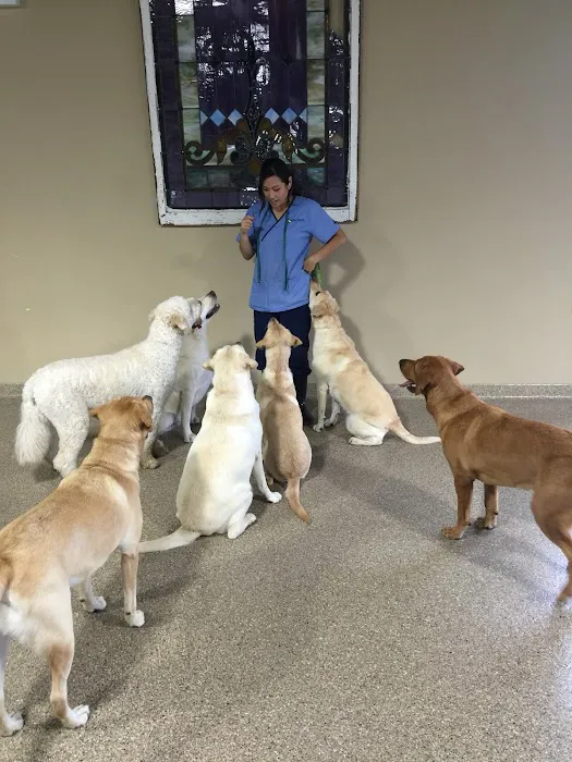 Indian Prairie Animal Hospital 4
