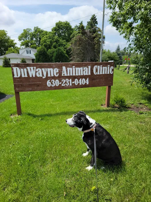 Duwayne Animal Clinic 12