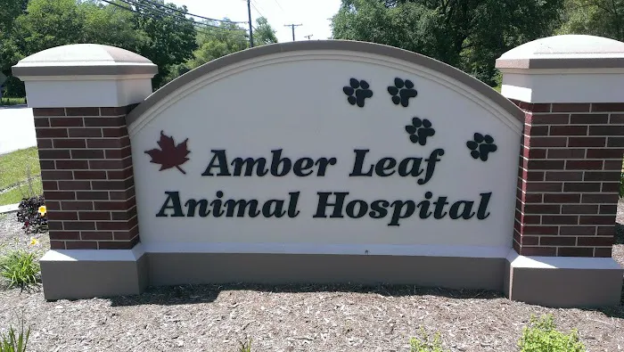 Amber Leaf Animal Hospital 12