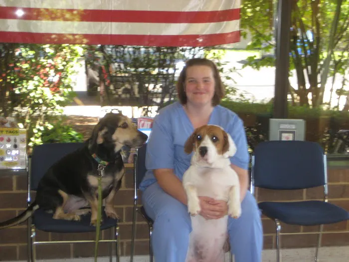 Amber Leaf Animal Hospital 12