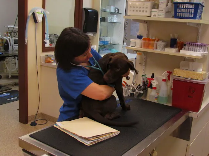 Mill Creek Animal Clinic 2