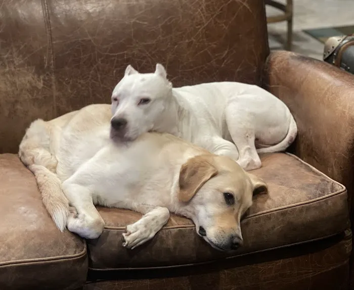 Mill Creek Animal Clinic 9