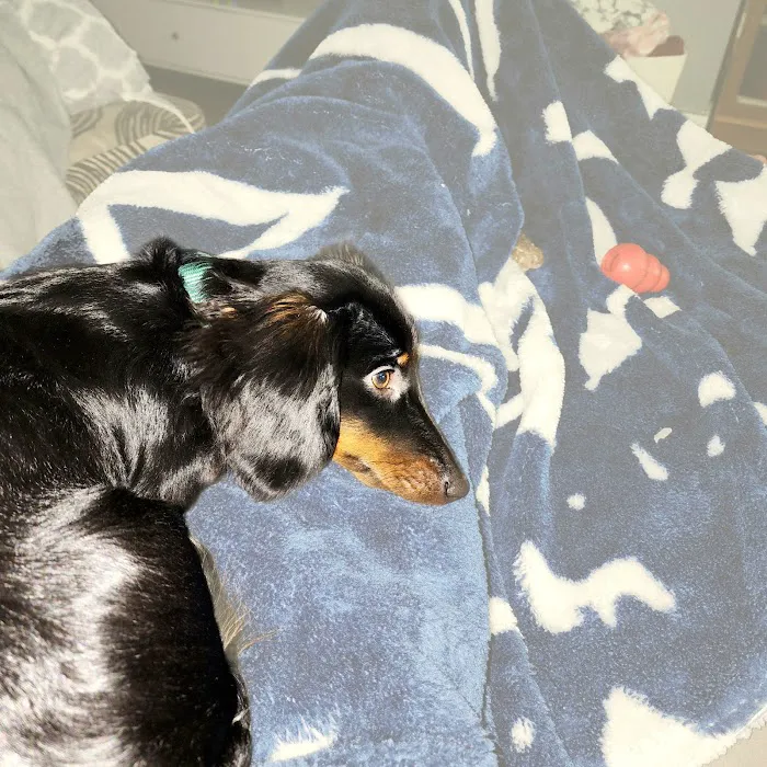 Mill Creek Animal Clinic 6