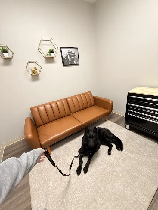 Hometown Veterinary Partners Orland Park 12