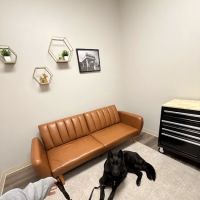 Hometown Veterinary Partners Orland Park ico