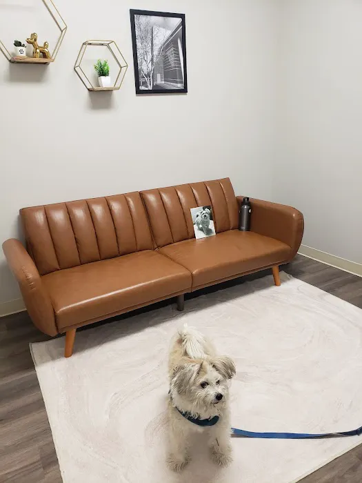 Hometown Veterinary Partners Orland Park 12