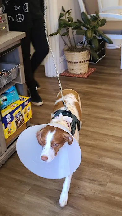 Wishing Well Veterinary Hospital 6
