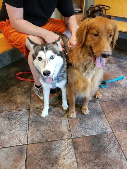 Packanack Animal Hospital 12