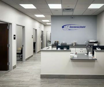 Delta Veterinary Hospital - Animal Emergency
