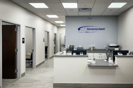 Delta Veterinary Hospital - Animal Emergency