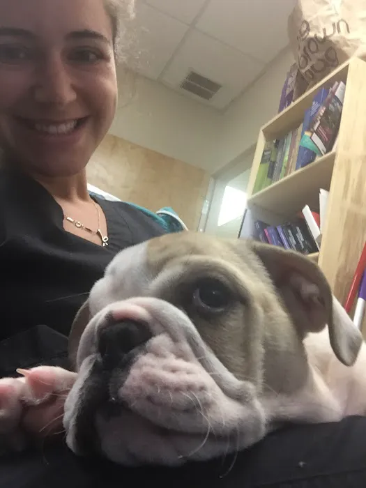 Montville Animal Hospital 9