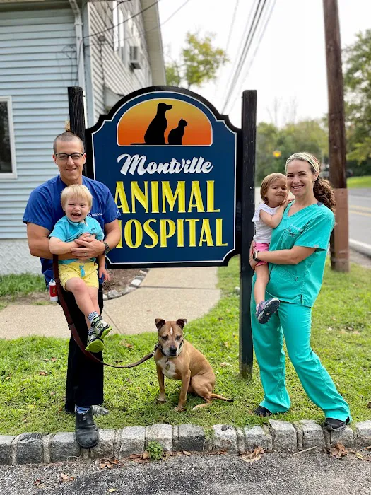 Montville Animal Hospital 5