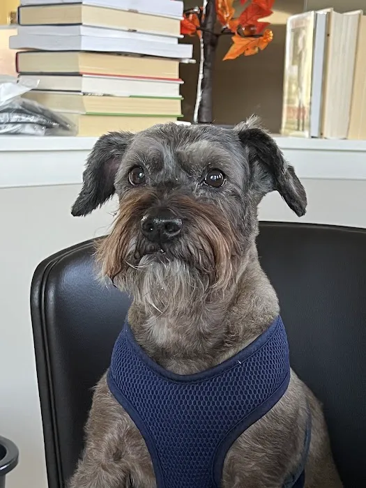 Willowbrook Animal Clinic 2