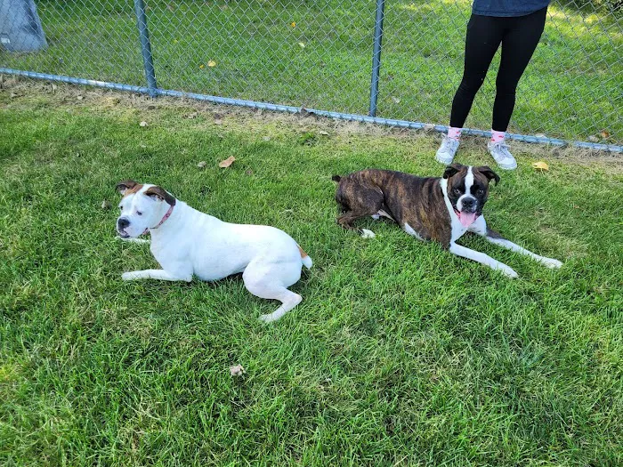 Pequannock Animal Hospital 12