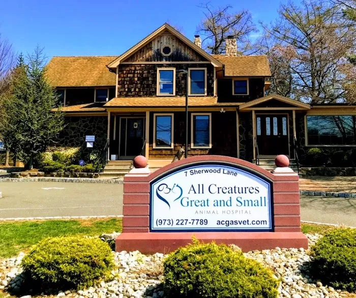 All Creatures Great and Small Animal Hospital 12