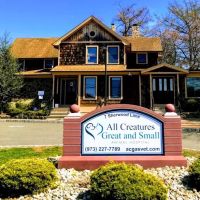 All Creatures Great and Small Animal Hospital ico