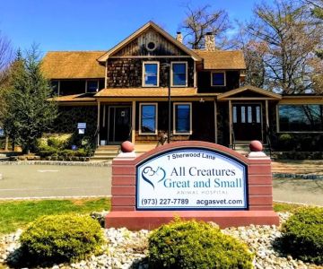 All Creatures Great and Small Animal Hospital