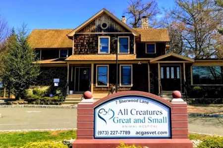 All Creatures Great and Small Animal Hospital