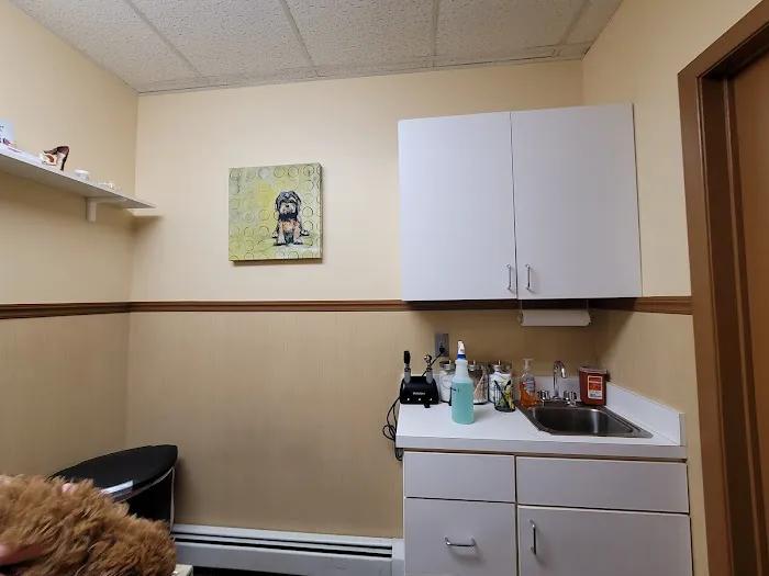 All Creatures Great & Small Animal Hospital 12