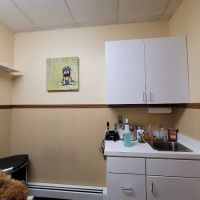 All Creatures Great & Small Animal Hospital ico