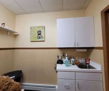 All Creatures Great & Small Animal Hospital