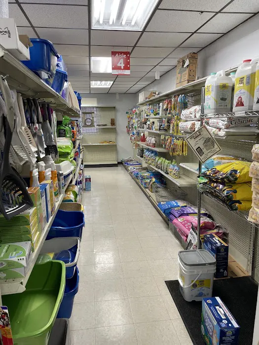 All Creatures Great & Small Animal Hospital 12