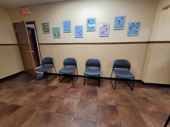 All Creatures Great & Small Animal Hospital 12