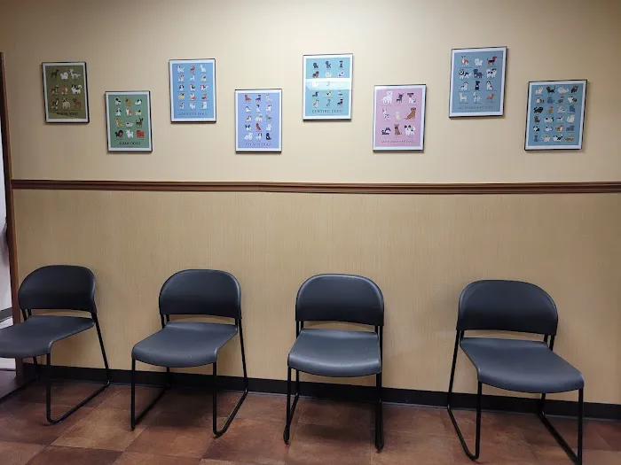 All Creatures Great & Small Animal Hospital 12