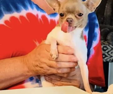 Companion Veterinary Hospital of Wayne