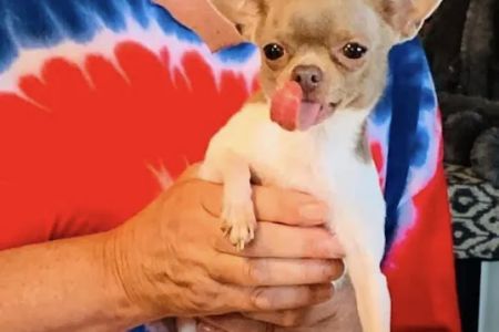 Companion Veterinary Hospital of Wayne