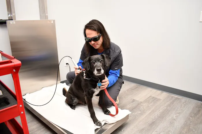 Tri-County Animal Hospital 3