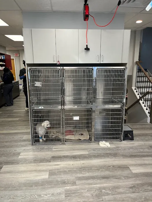 Tri-County Animal Hospital 7