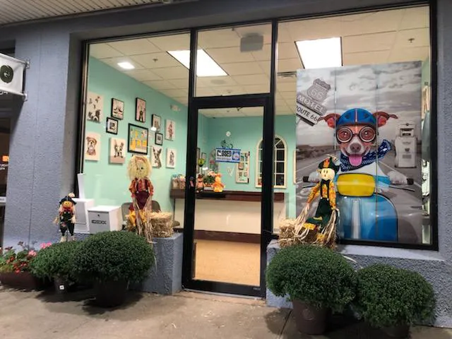 Wayne Valley Animal Hospital 1