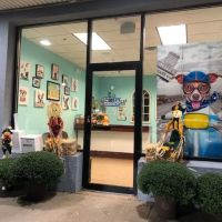 Wayne Valley Animal Hospital ico