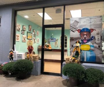 Wayne Valley Animal Hospital